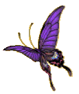 butterfly_17.gif (5397 bytes)