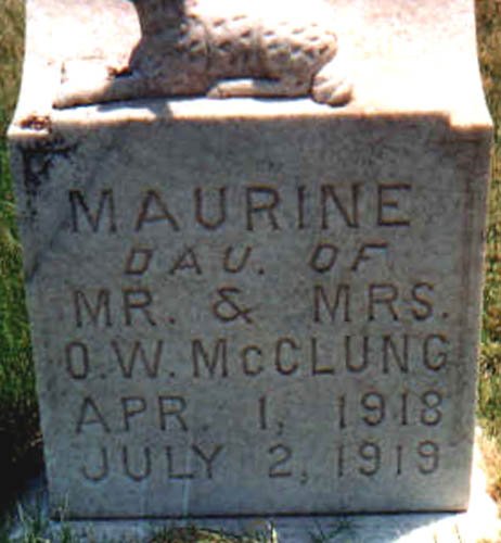 mcclung.jpg (39529 bytes)