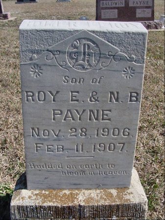 payne1.jpg (56199 bytes)