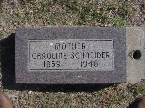 schneidercaroline.jpg (74867 bytes)