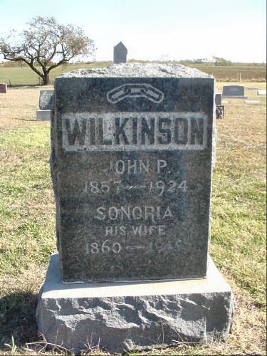 wikinsonjohnsonoria.jpg (61304 bytes)