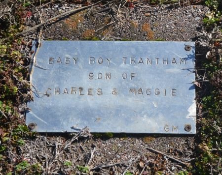 gravestone
