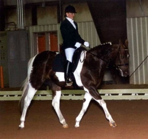 Melody Lynn (Rothaar) Draper