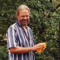 David Carl Labutis